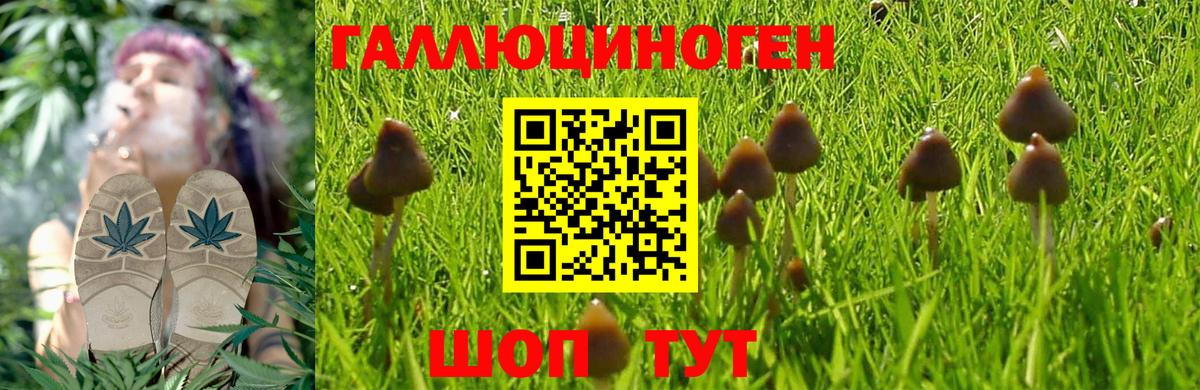 что такое наркотик  Псилоцибиновые грибы мухоморы  Вход с VPN  Новый Уренгой 